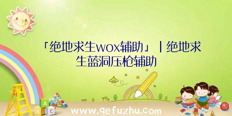 「绝地求生wox辅助」|绝地求生蓝洞压枪辅助